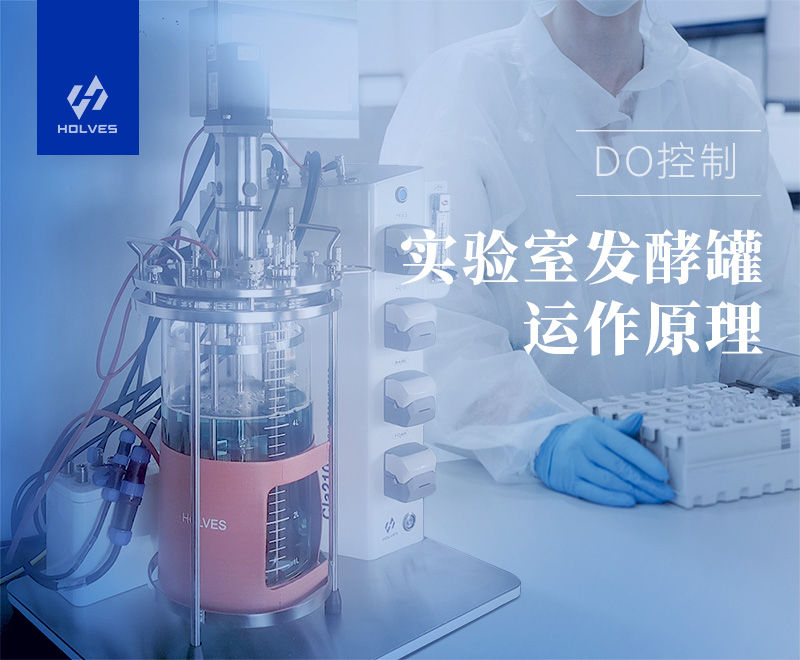 實驗室午夜免费AV导航 實驗室午夜免费AV导航