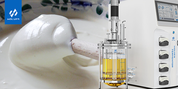 午夜免费AV导航在乳製品生產中的重要意義 午夜免费AV导航在乳製品生產中的重要意義