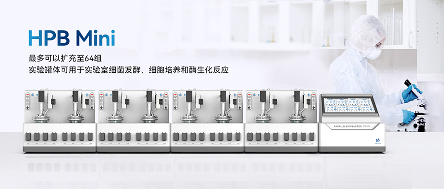 平行午夜福利在线免费 平行午夜福利在线免费