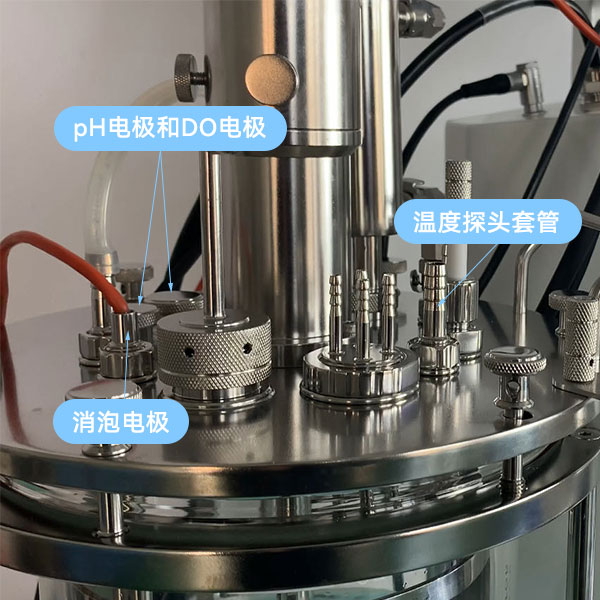 午夜免费AV导航傳感器 午夜免费AV导航傳感器