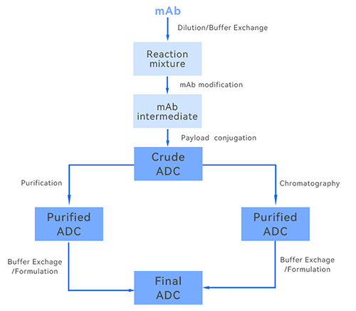ADC生產圖示 ADC生產圖示
